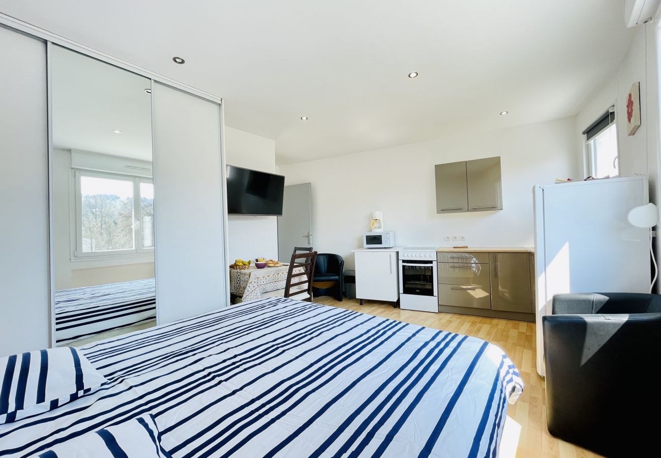 Studio in Bains-les-Bains - Mimosa : Charming studio near the thermal baths 