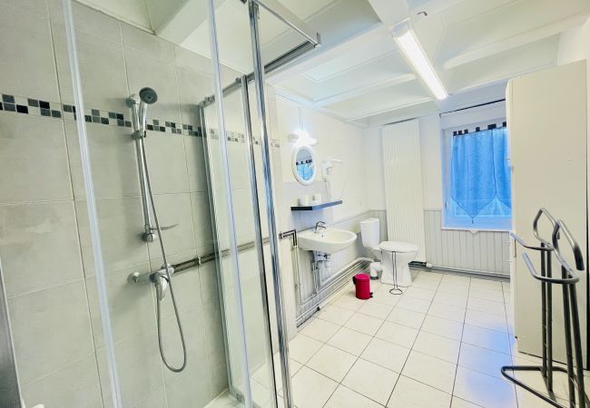 Apartment in Bains-les-Bains - Henry 4: Charming flat with terrace (and parking) Apartment in Bains-les-Bains - Henry 4: Charming flat with terrace (and parking)