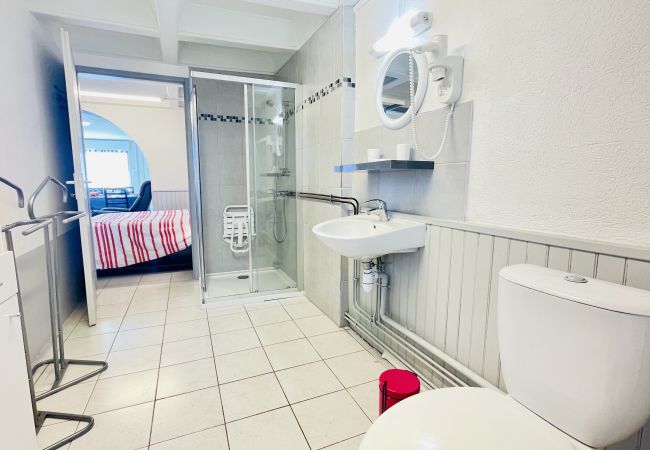 Apartment in Bains-les-Bains - Henry 4: Charming flat with terrace (and parking) Apartment in Bains-les-Bains - Henry 4: Charming flat with terrace (and parking)