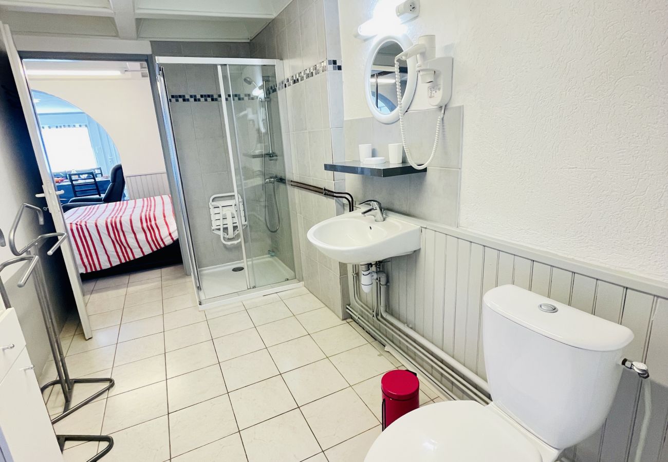 Appartement à Bains-les-Bains - Henry 4 : Appartement charmant avec terrasse (et parking)