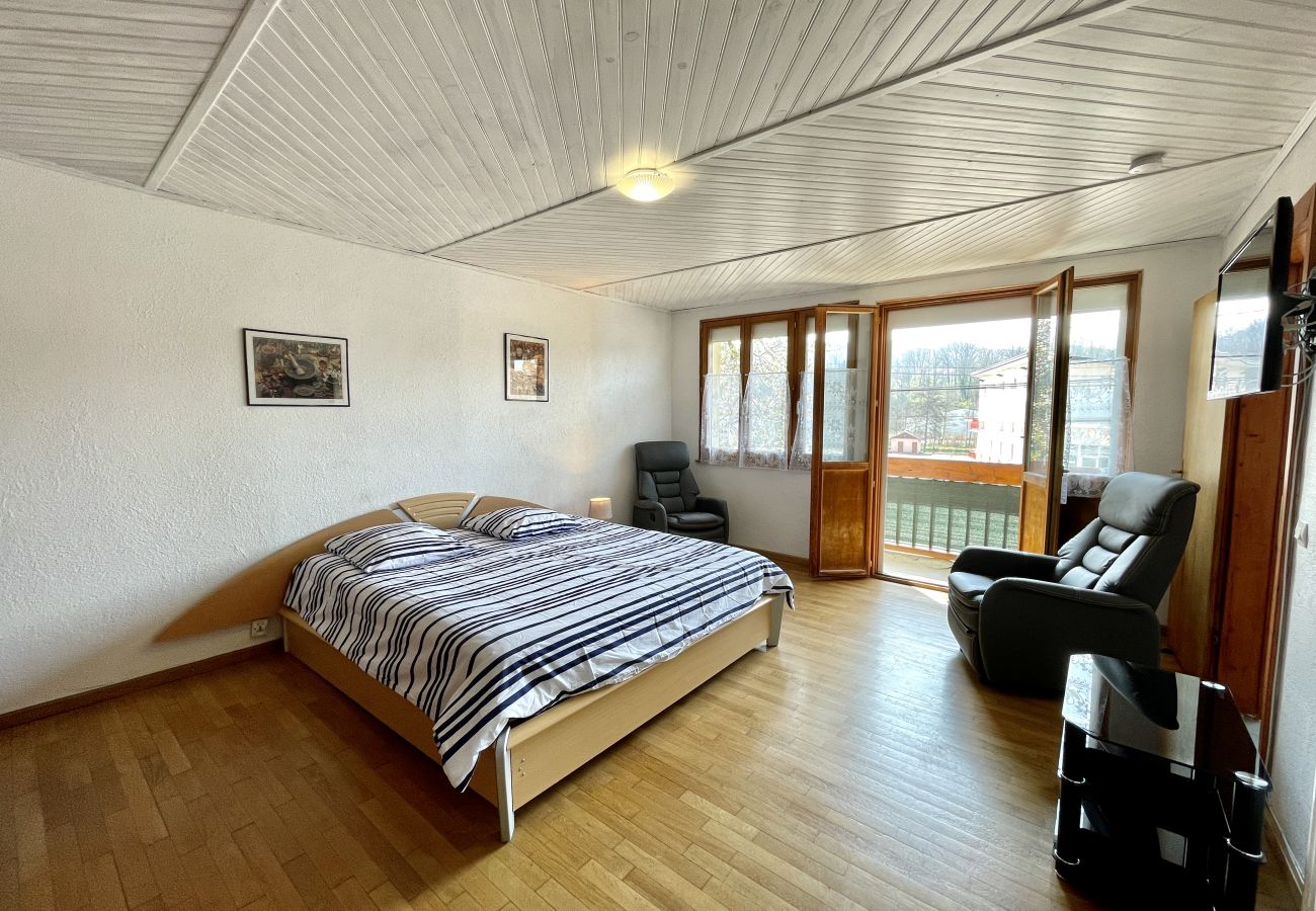 Appartement à Bains-les-Bains - Angèle : Sympathique appartement à 300 mètres des thermes de Bains les Bains